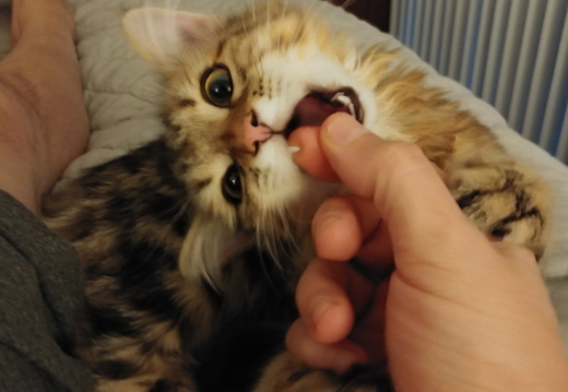 20180831 193149g