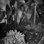 PA286924rg