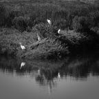 P9085314-1