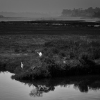P9085372rgbw