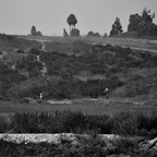 P9085349rgbw