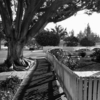 20181118 085112rg-bw