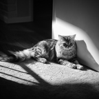 IMGP9454rg-bw