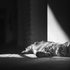 IMGP9406rg-bw