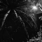 PC087518rg-bw