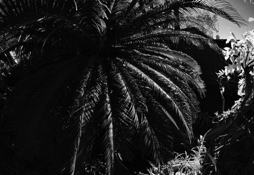 PC087522rg-bw
