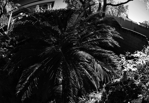 PC087531rg-bw