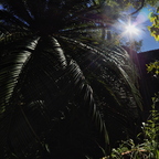 PC087518rg