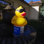 IMGP0133-