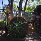 IMGP0073