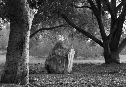IMGP0307-2