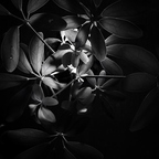 P1078958rg