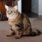 IMGP0437