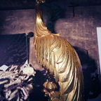 IMGP0567-7