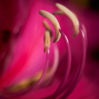 P2089025
