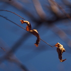 P2089026