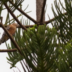 P3209279