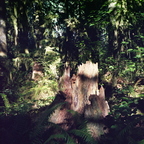 img008rg2