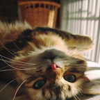 20190402 080320g