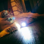 LC IMG 20190407 195111g