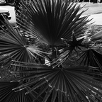 GR000527g