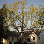 GR000867