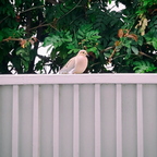 20190429 162227g