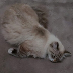 20190508 193658g
