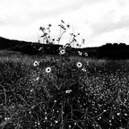 20190618 130253g
