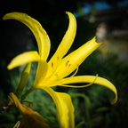 GR000198