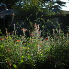 GR000208