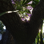 IMGP0820
