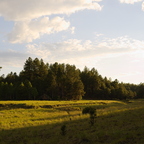 IMGP0981