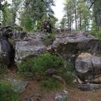 IMGP0982