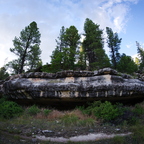 IMGP0992