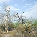 GR000147