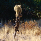 P8209993