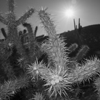 GR000373-2