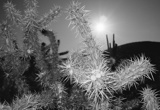 GR000375-1