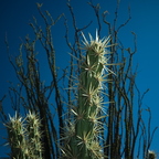 GR000389