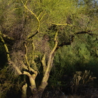 P8280023