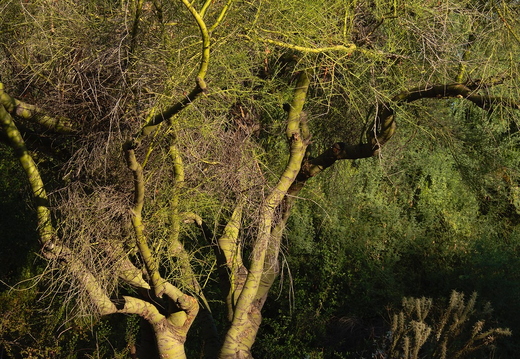 P8280023