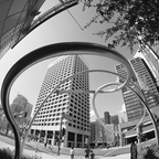 P9080129