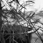GR000108