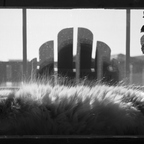 GR000170