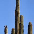 P9220235