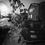 GR000941