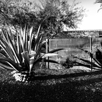 GR000999 9v