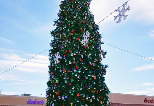 20191229 145941 HDR