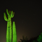 P3141598rg